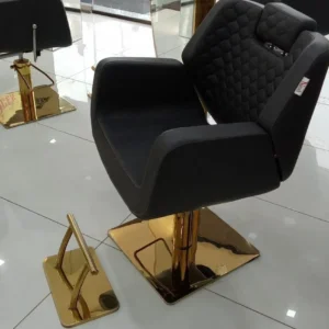 EVA Imported Salon Chair