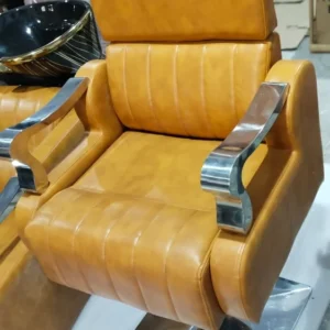 Luxury Salon Chair