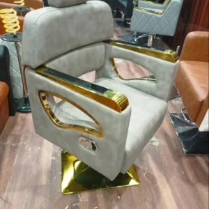 Premium Mayur Handle Chair