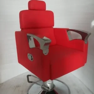 Salon Hydraulic Chairs