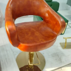 Stylish Golden Salon Chair