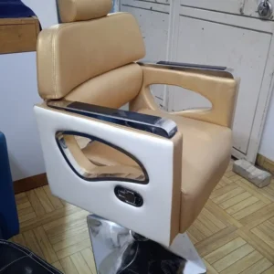 Premium Salon Chair