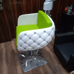 Salon Hair Cutting Chair